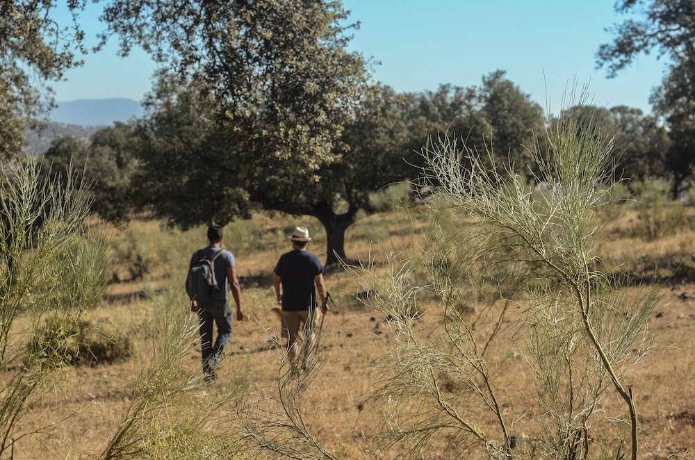 La Dehesa de Don Pedro 20/50