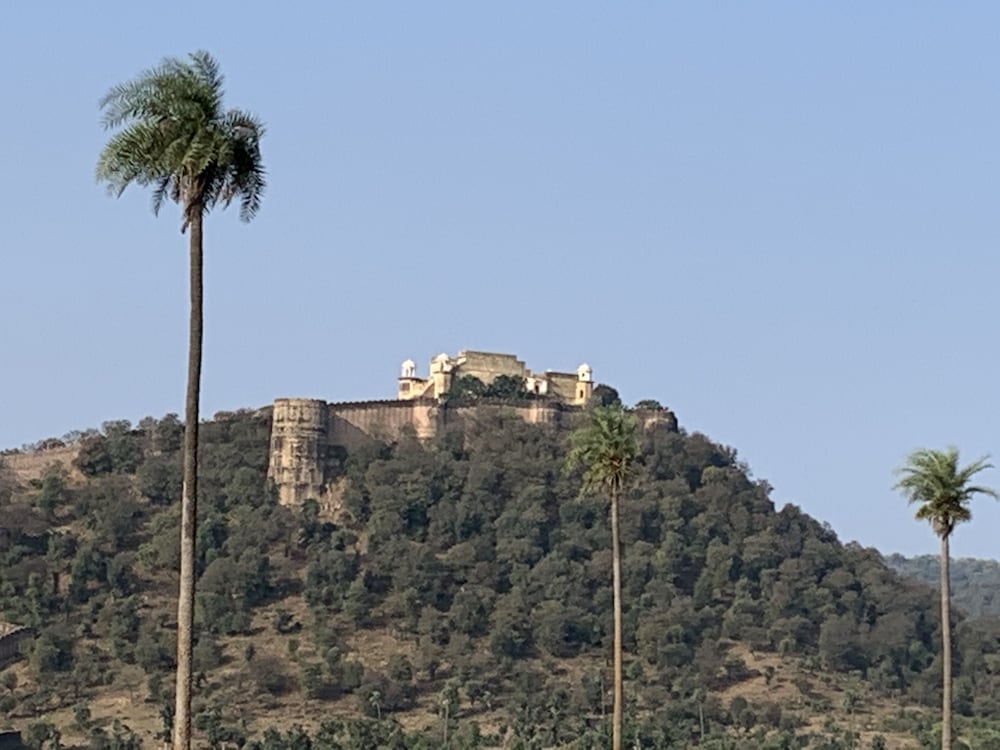 Tree of Life Sariska Manor 50/58