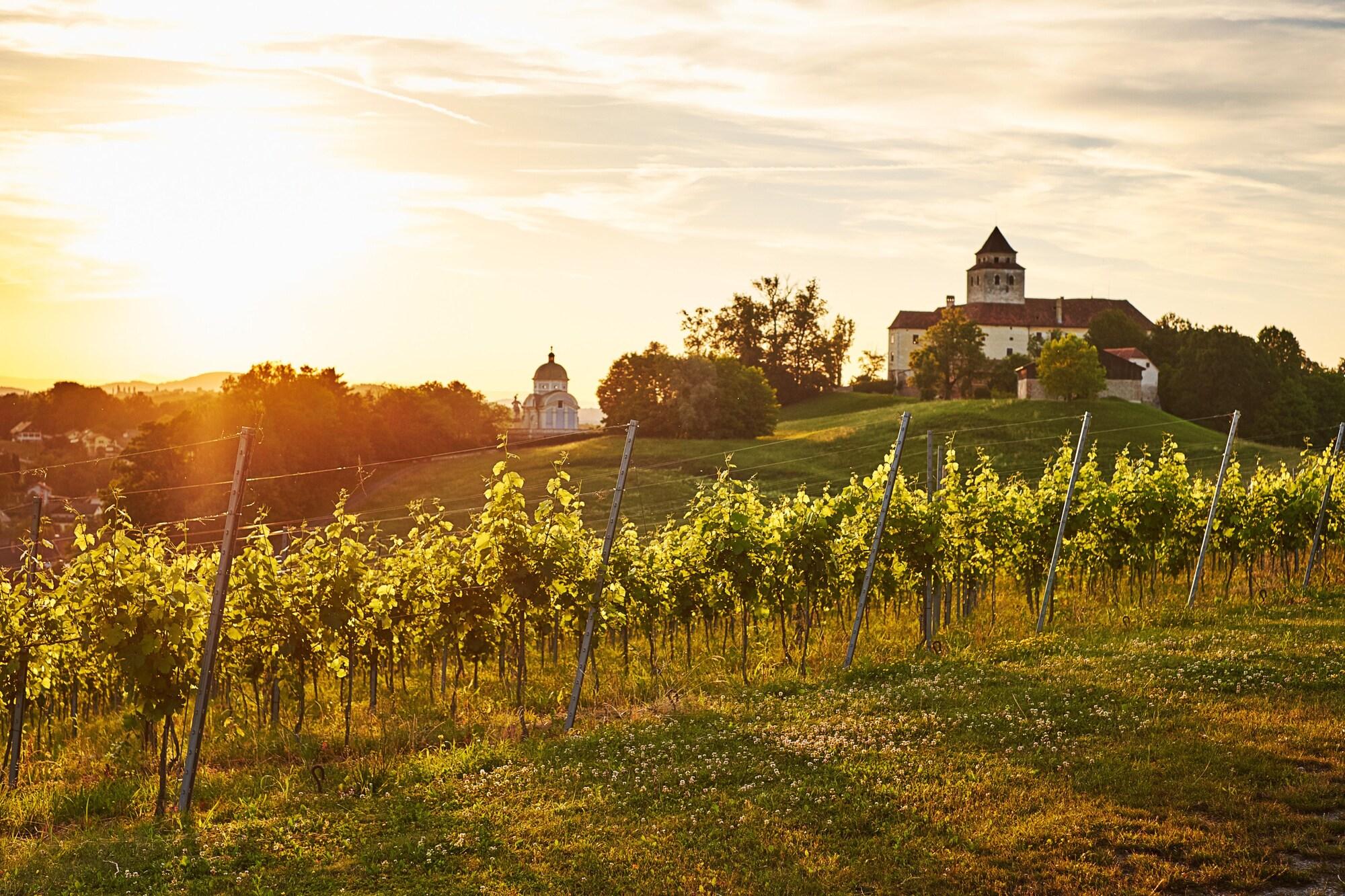 Loisium Wine & Spa Resort Sudsteiermark 31/55