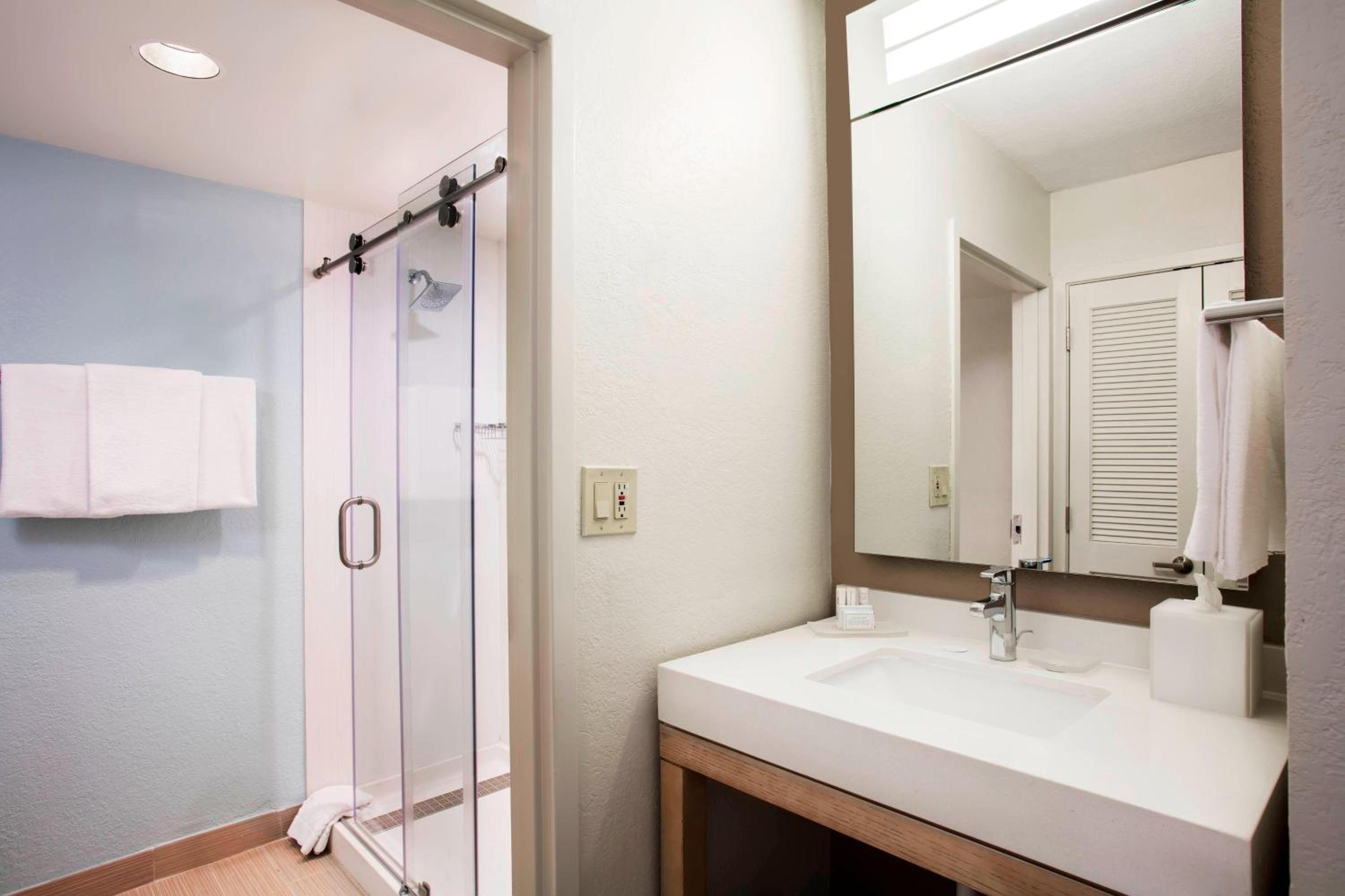 1 Bedroom, Suite, Sofa
