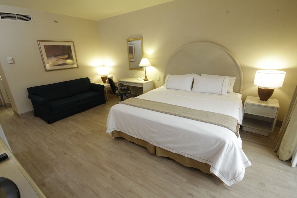 Holiday Inn Express Torreon 16/69