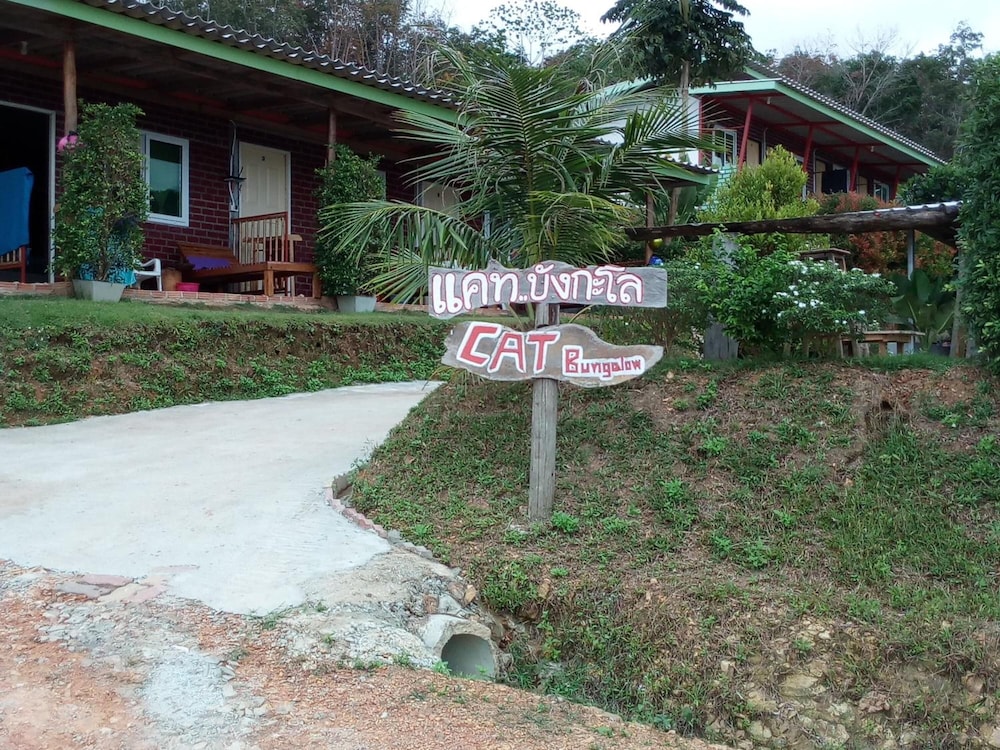 Cat Bungalow 63/66