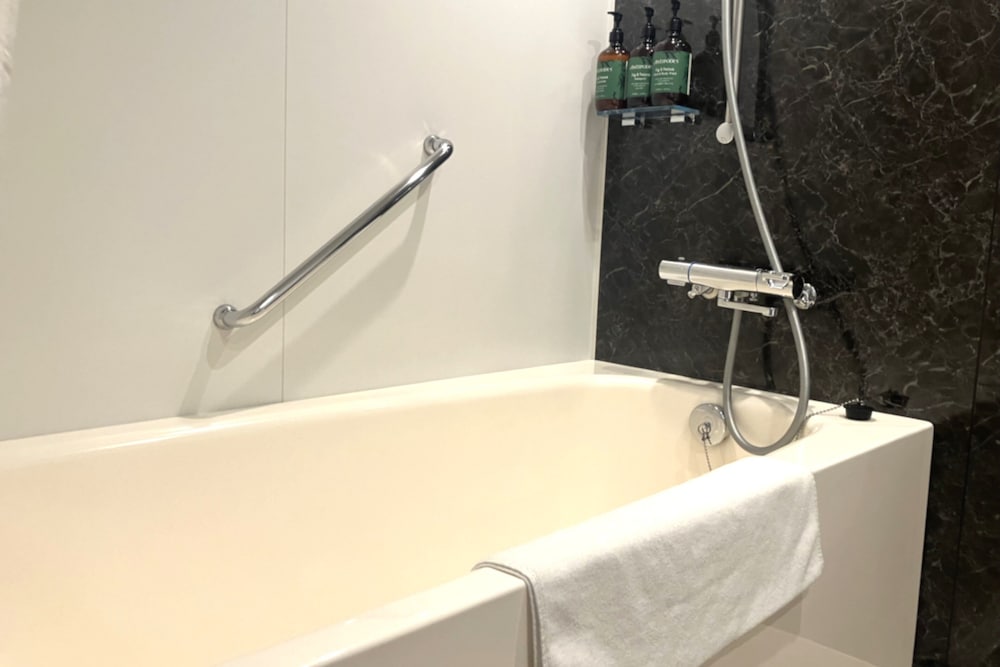 غرفة قياسية بسرير مزدوج بإطلالة على المدينة في طابق مرتفع، Ana Crowne Plaza Sapporo 5/5