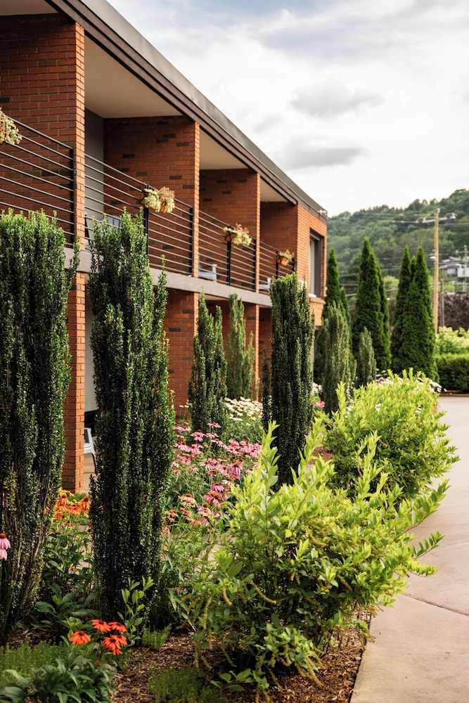 Beaucatcher a Boutique Motel 13/46