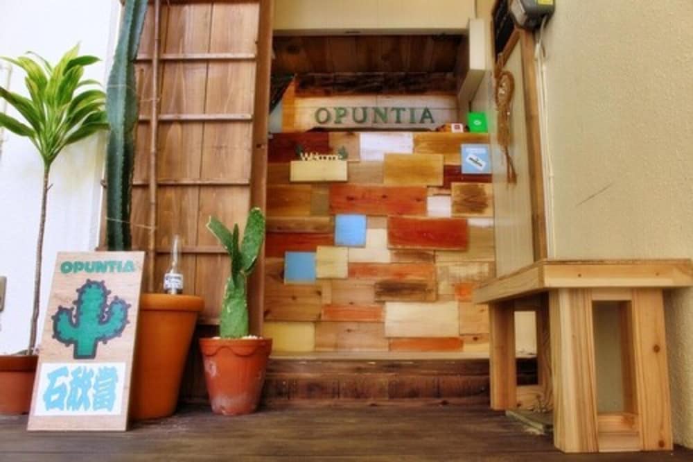 Guesthouse Opuntia - Hostel 3/27