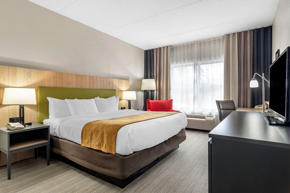 Comfort Inn and Suites Calhoun South 18/58