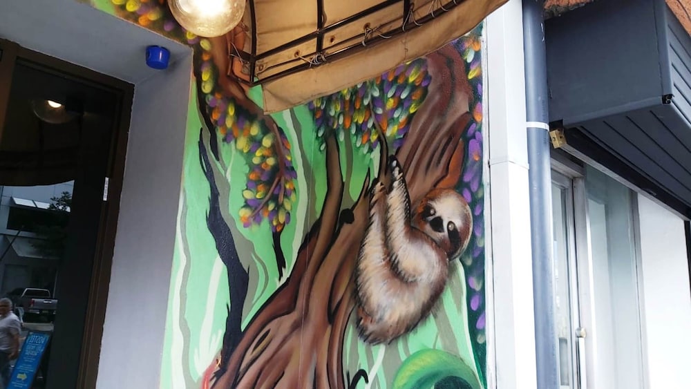 Hostel Del Paseo 19/50