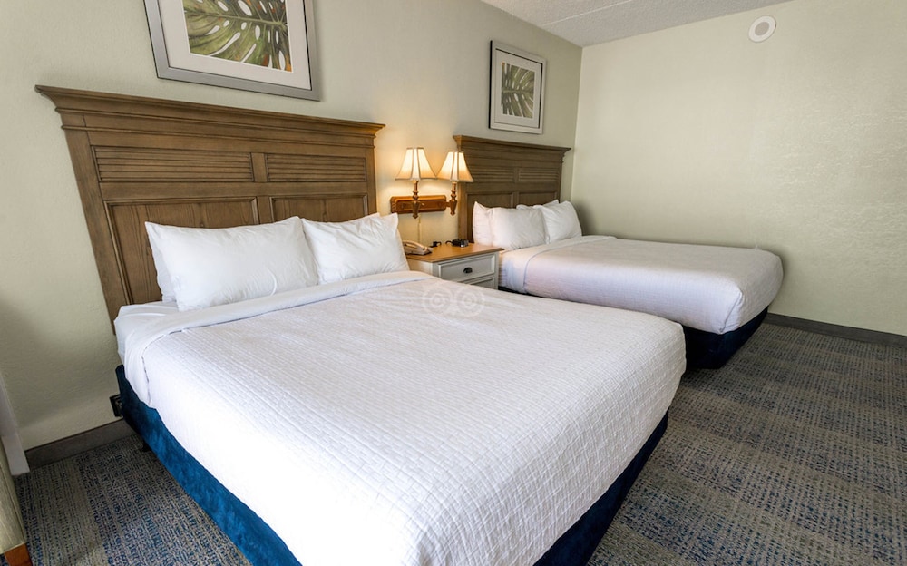 Efficiency, Pinnacle, 2 Queen Beds, Ocean View