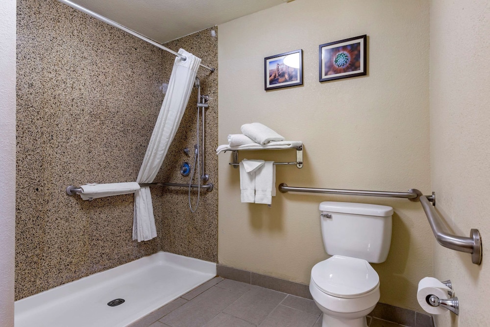 Comfort Suites Hobbs 13/46
