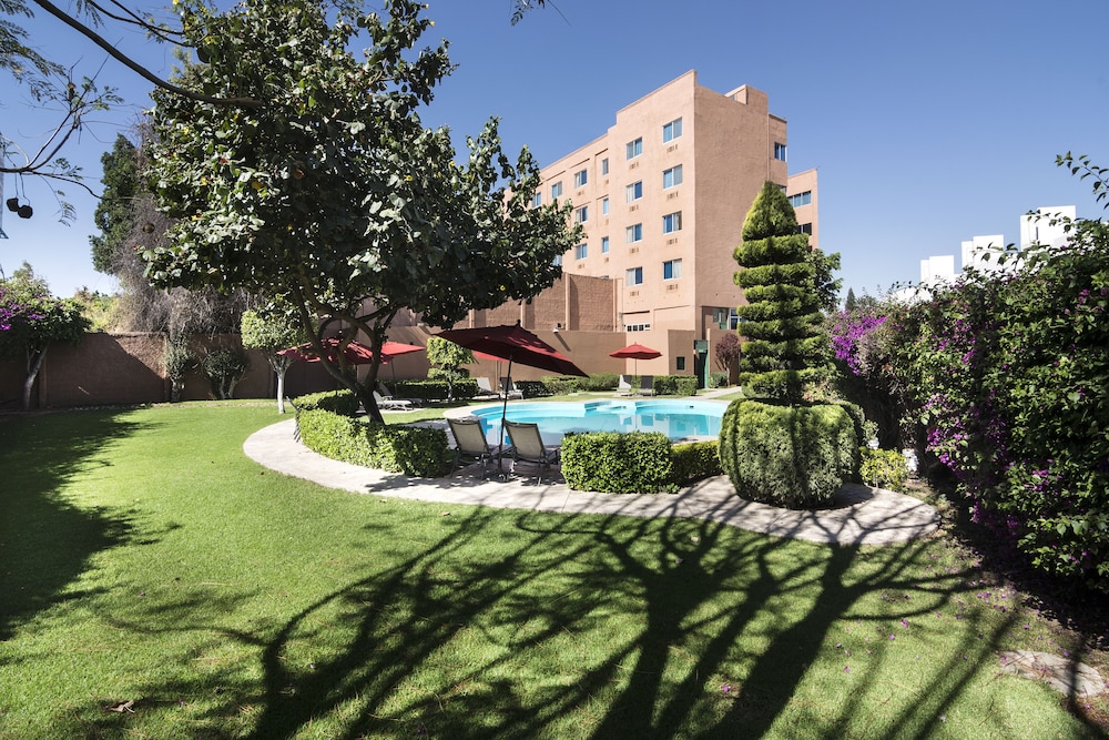 HOTEL SAN FRANCISCO LEON 59/64