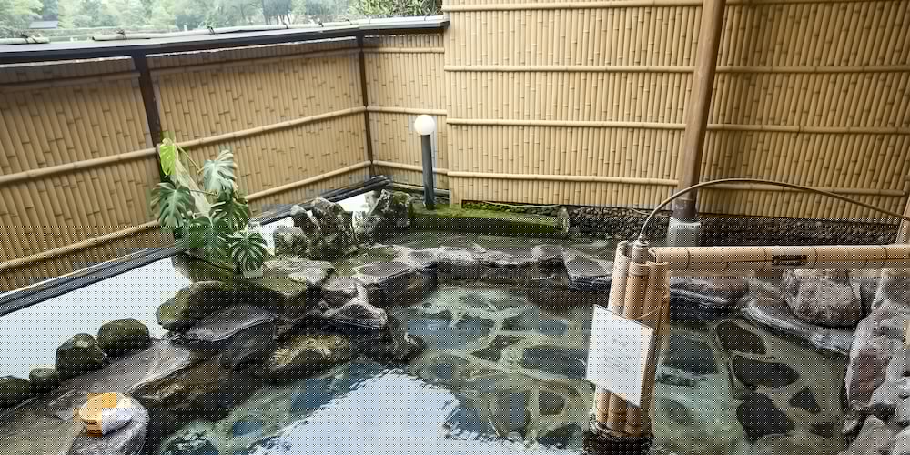 Pension Kinrinko Toyonokuni 10/60