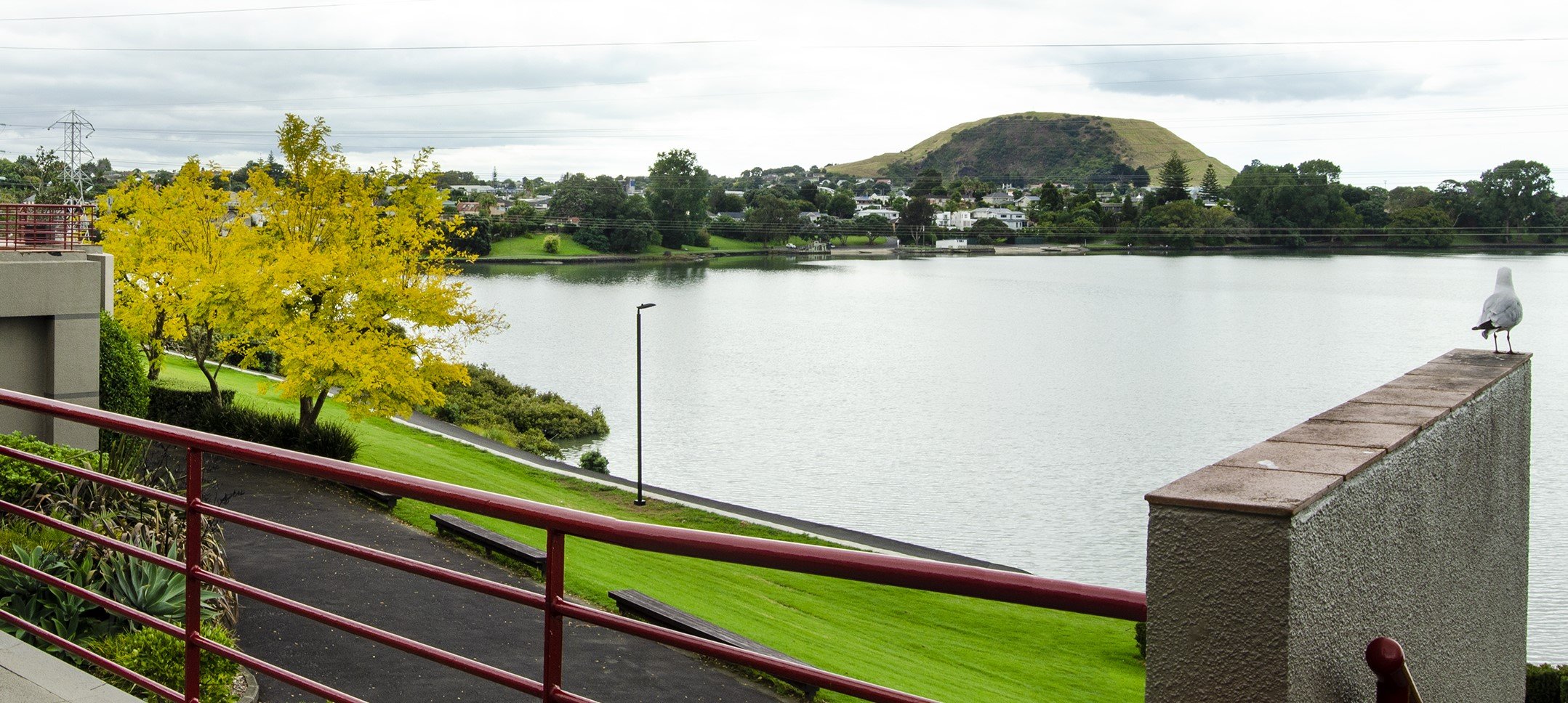 Waipuna Hotel And Conference Centre 97/100