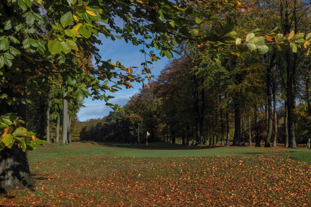 Forest Pines Spa and Golf Resort 45/50