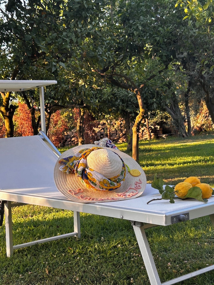Lemon Factor Sorrento 31/50