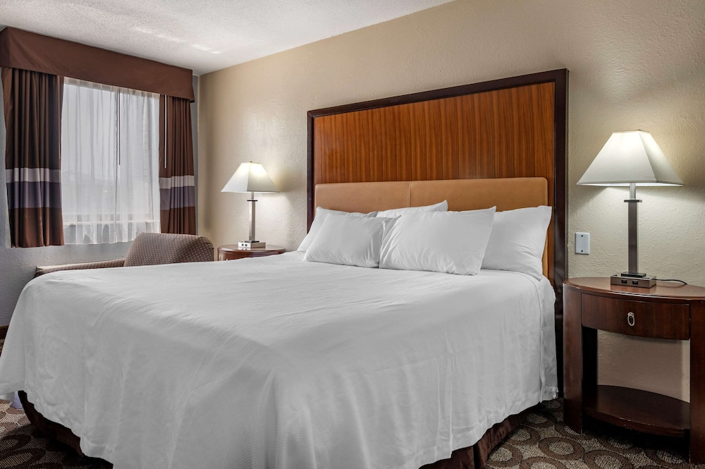 Efficiency, King Bed