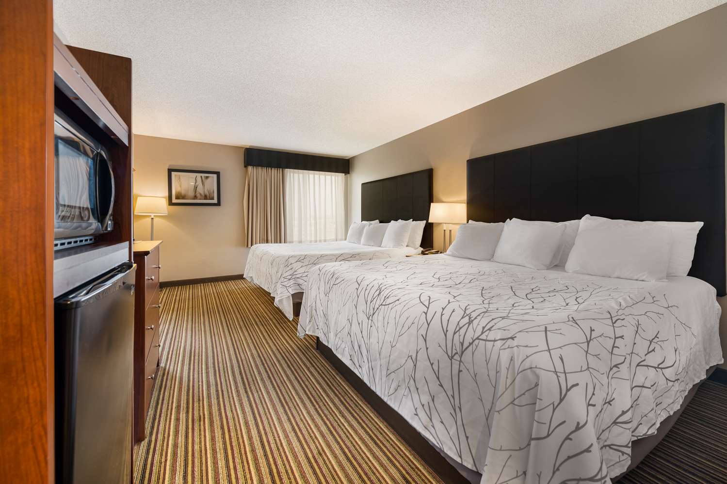 Suite, 2 King Beds, Sofa