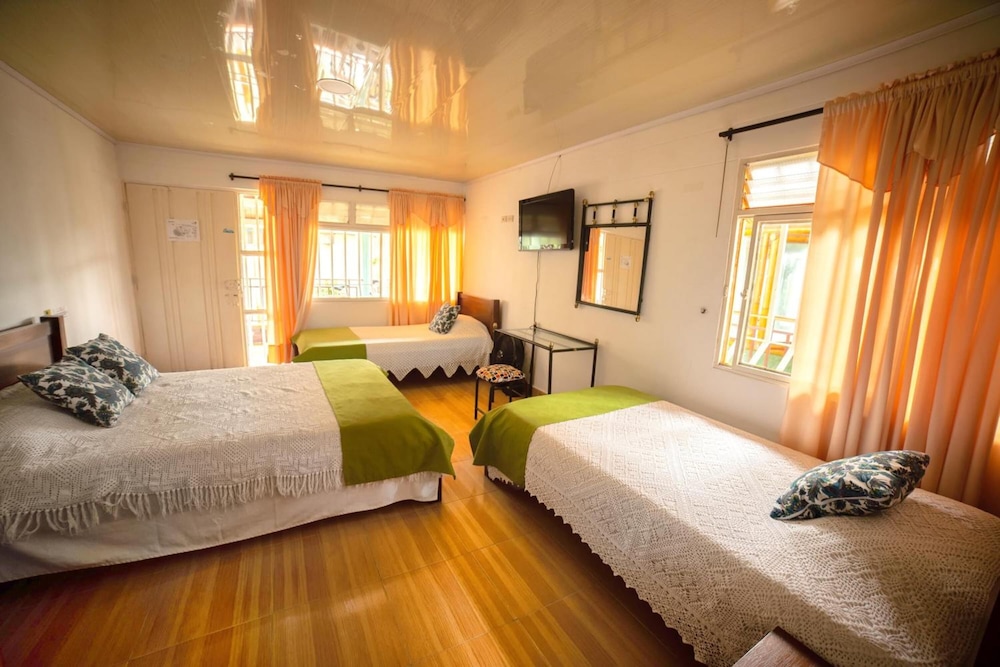 Eco Hotel Las Palmas 13/50