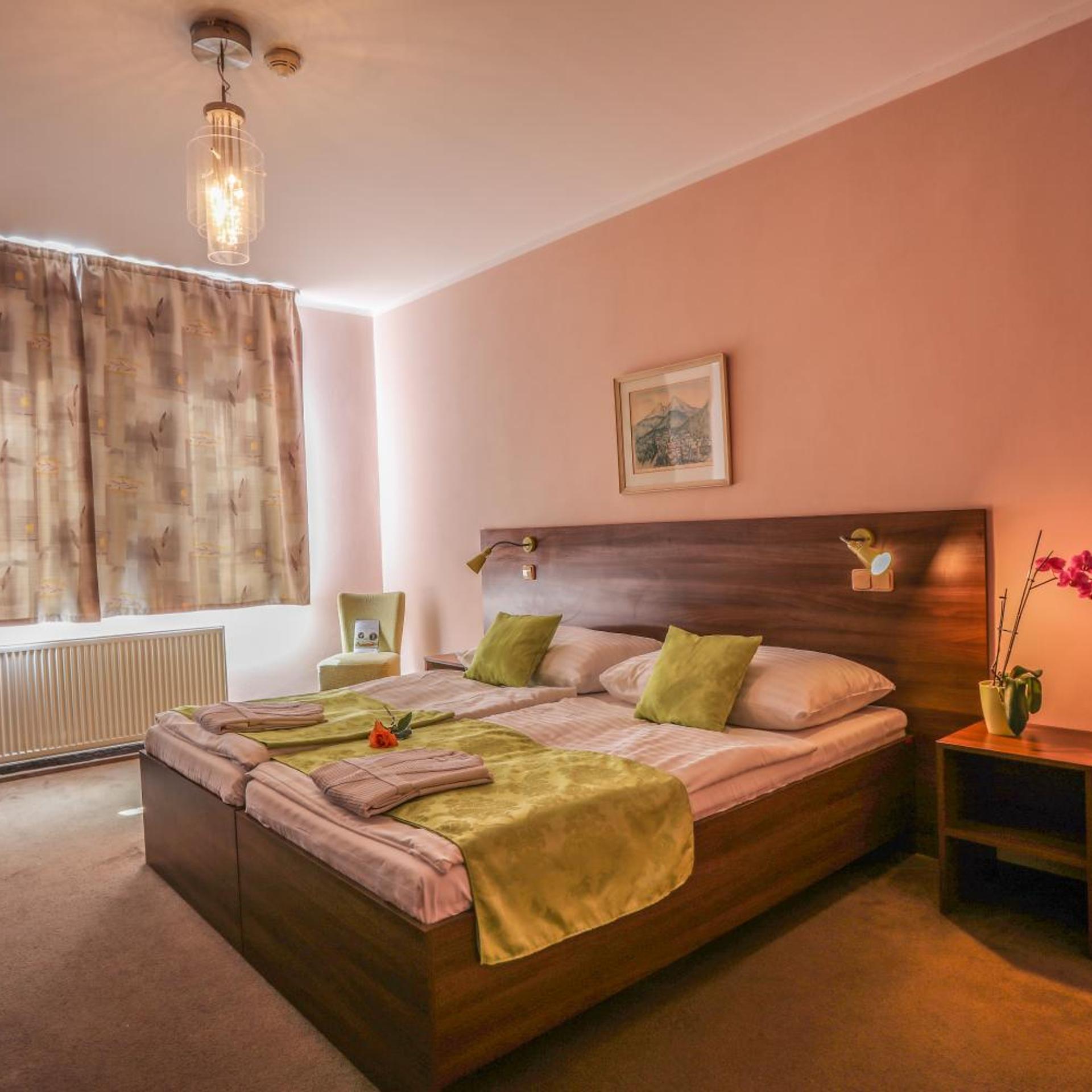 Zamecek Hotel 17/50