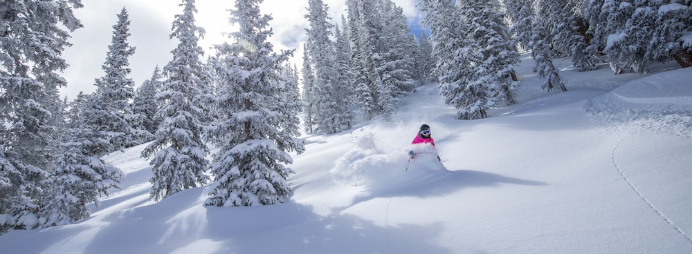 Wildwood Snowmass 51/54