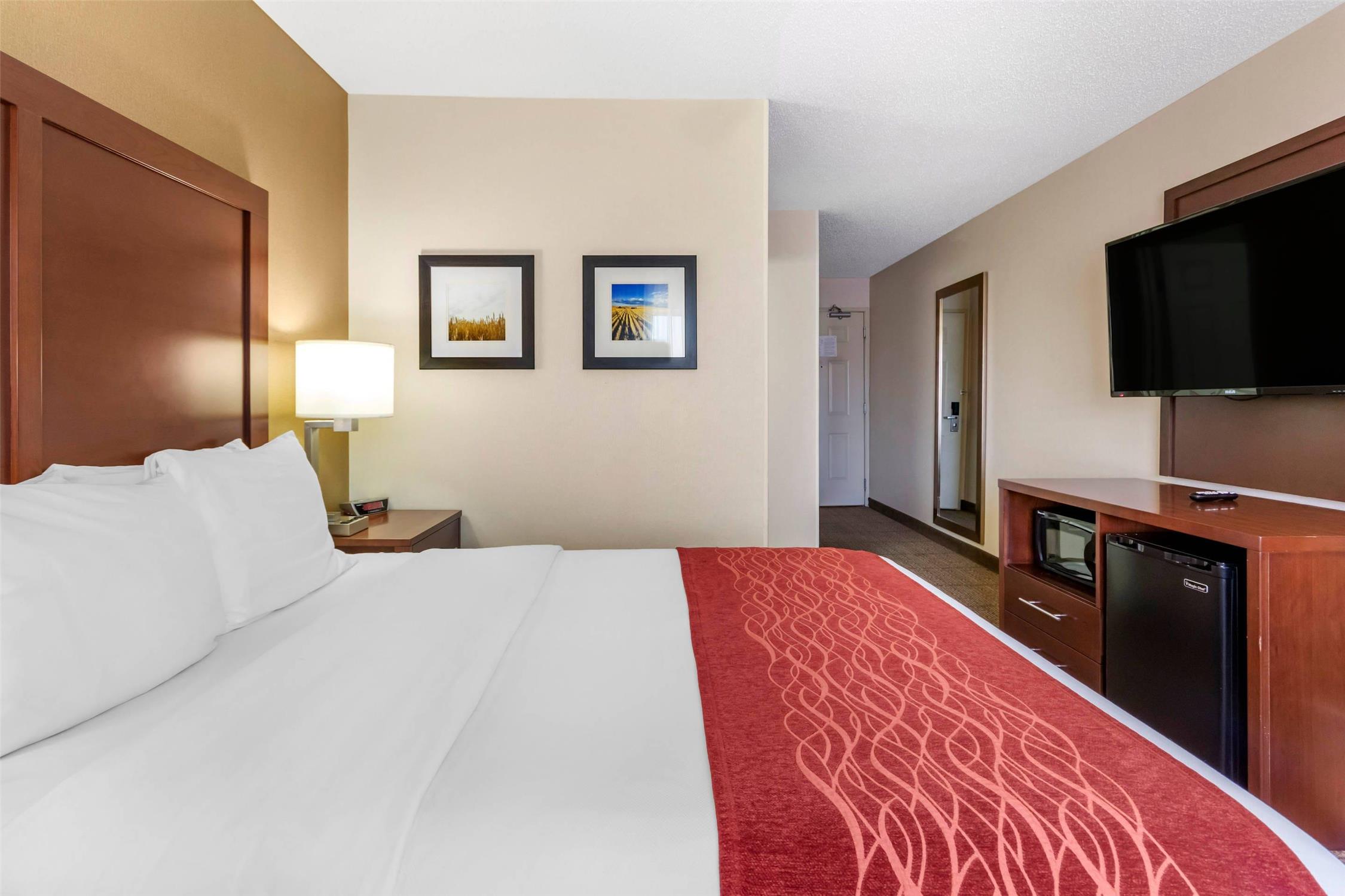 Upgrade, King Bed