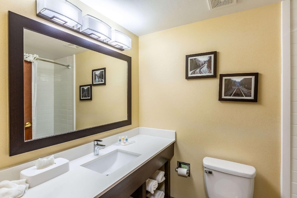 Comfort Suites Warner Robins 53/56