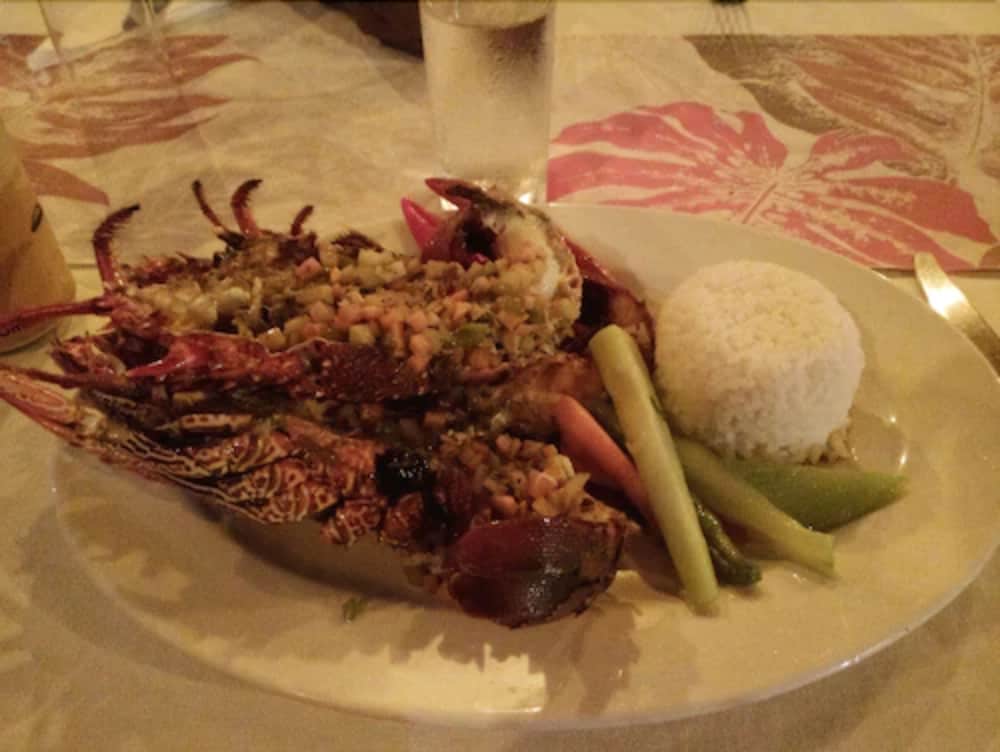Tanna Evergreen Resort & Tours 21/50