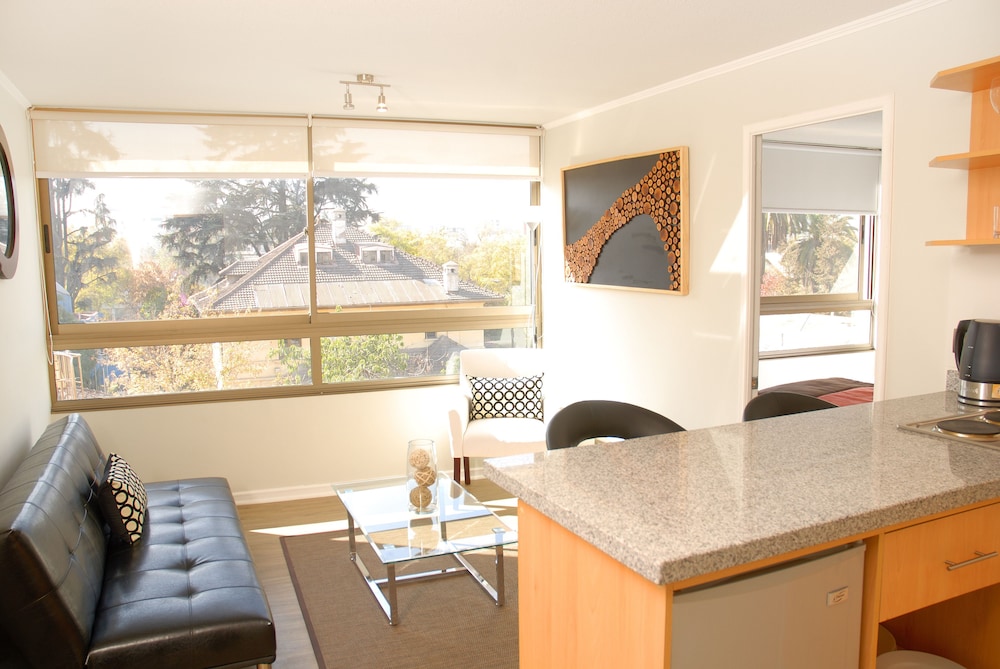 Providencia Apart Hotel 31/50