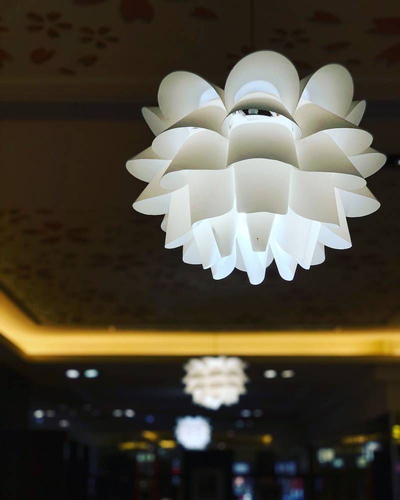 EVER DELIGHTFUL BUSINESS HOTEL 41/61