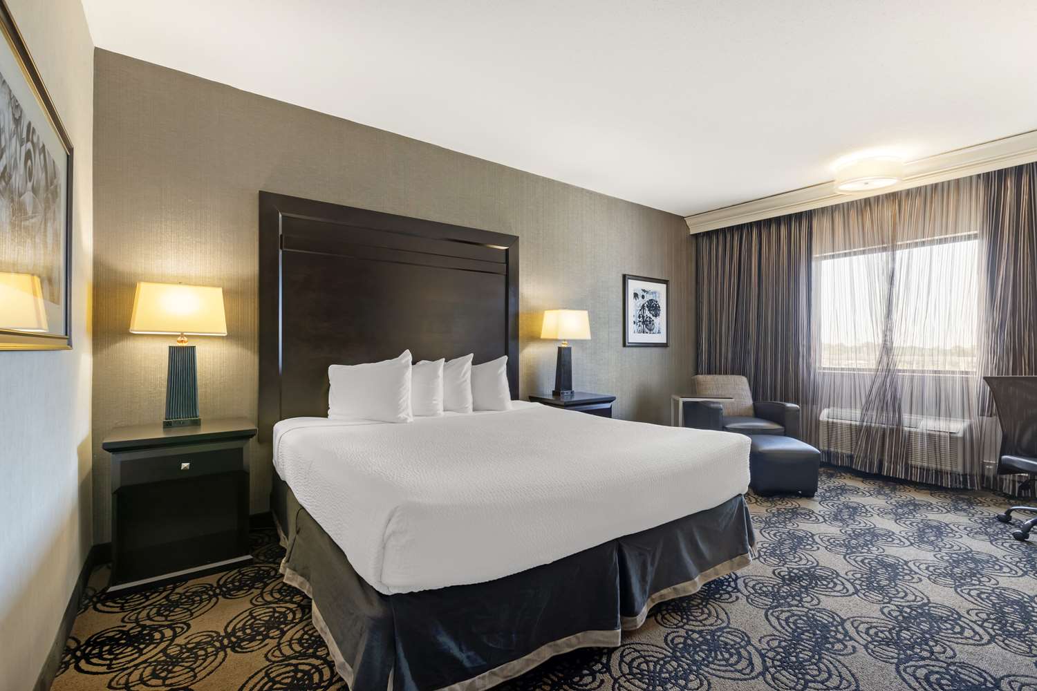Room, King Bed
