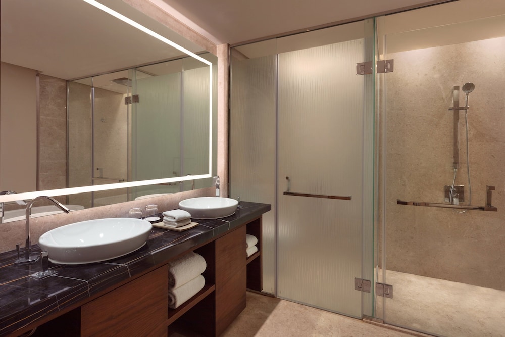Sheraton Grand Bengaluru Whitefield Hotel and Convention Center 17/74
