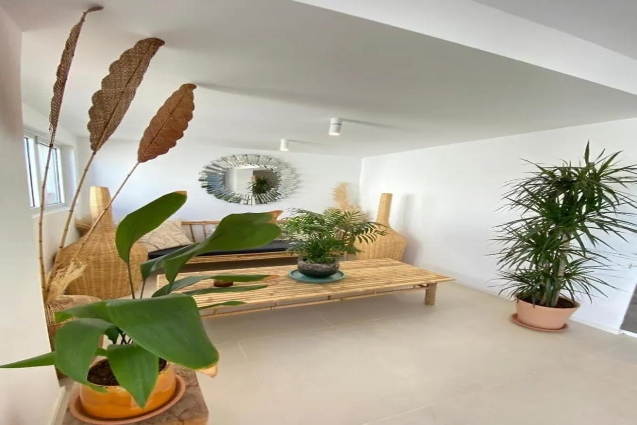 The Olive Boutique Suites and Spa 3/15