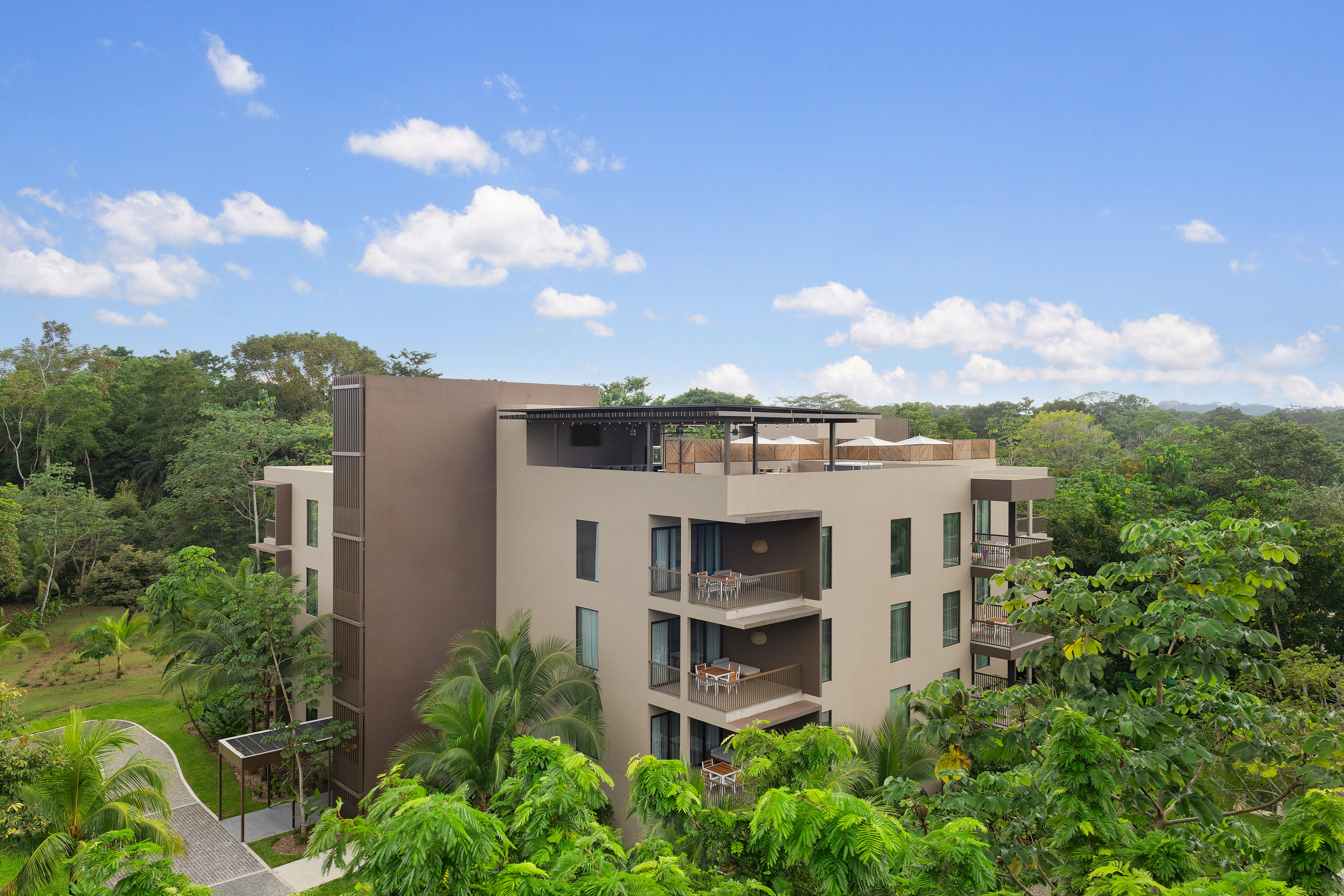 Botanika Osa Peninsula, Curio Collection by Hilton 6/73
