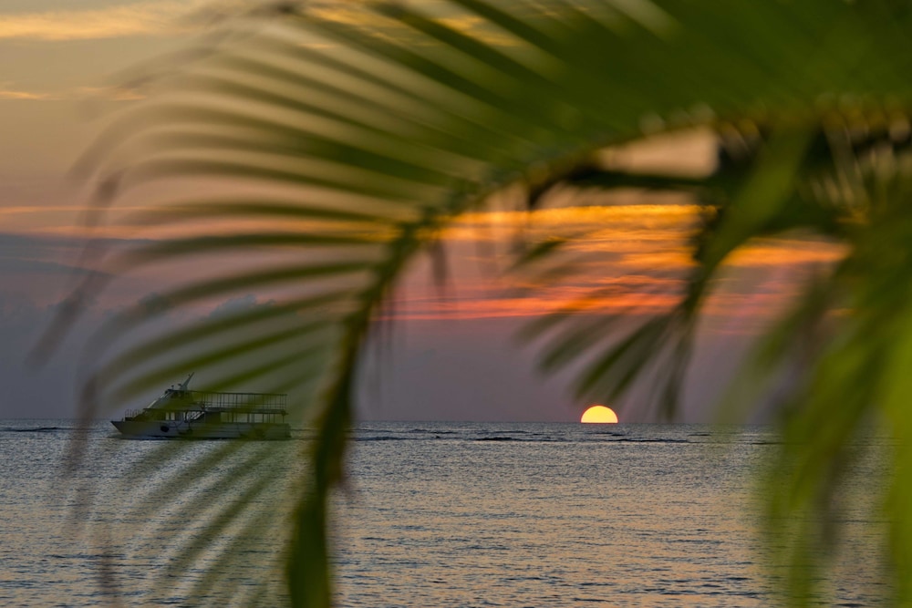 Kimpton Seafire Resort and Spa 37/79