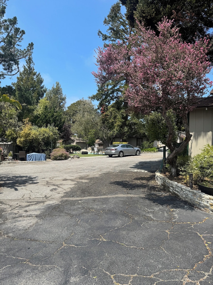 Carmel Resort Inn 67/72