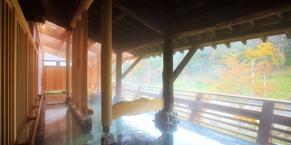Shin Appi Onsen Seiryukaku 20/59