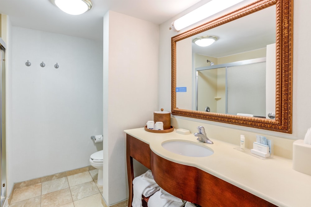 Hampton Inn & Suites Westford - Chelmsford 19/48