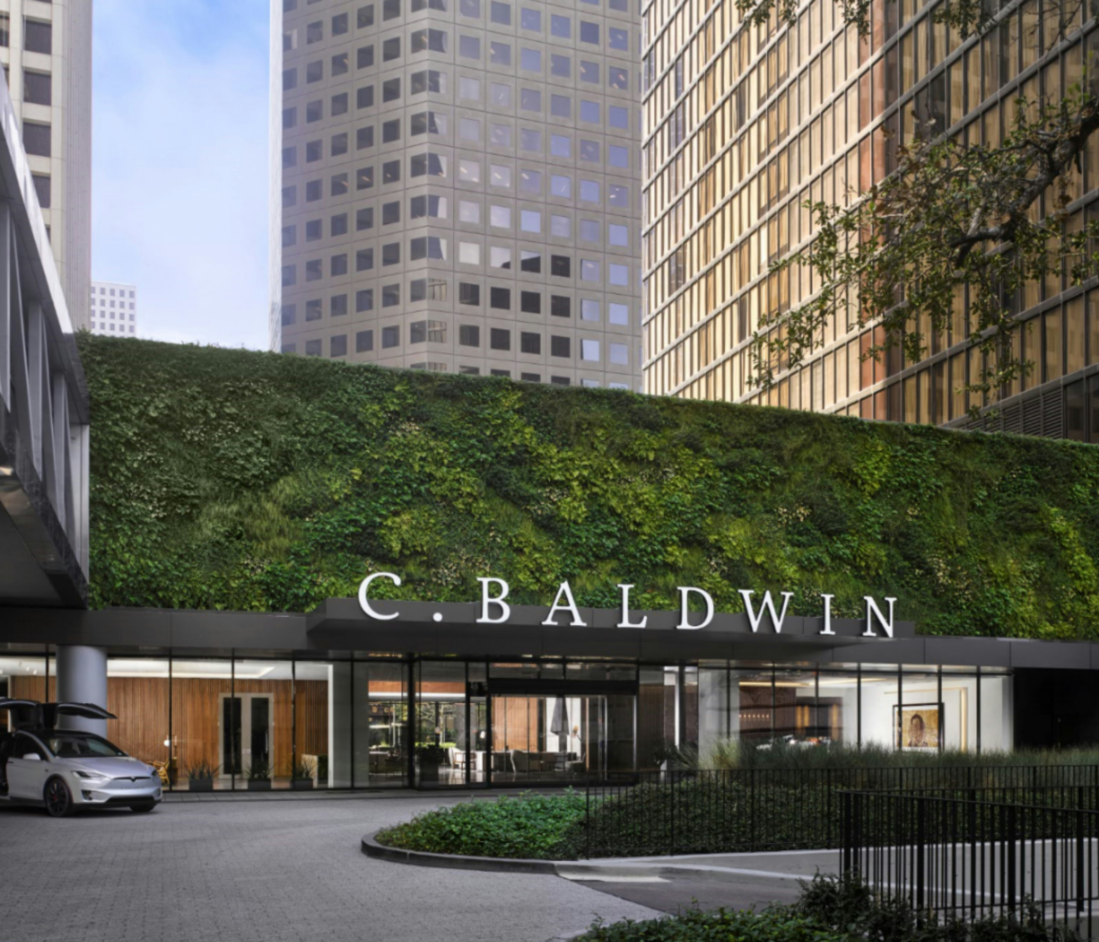 C. Baldwin Curio Collection by Hilton 19/19