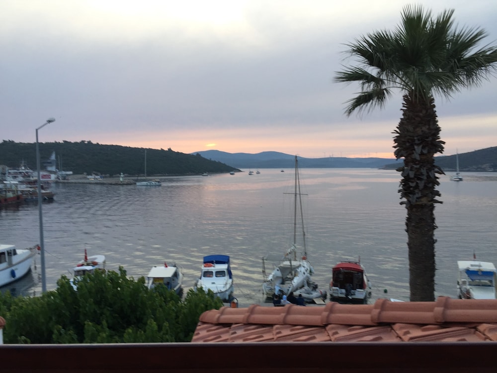 Teos旅馆Pansiyon & Restaurant(Teos Lodge Pansiyon & Restaurant) 图片2