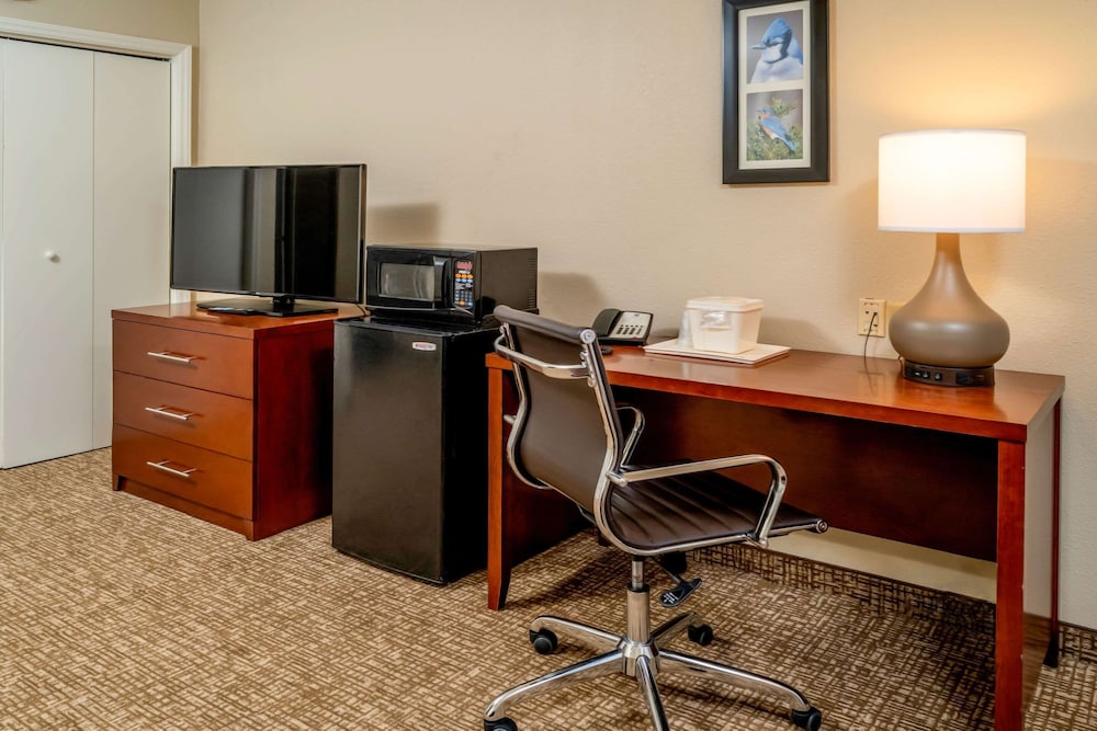 Comfort Inn & Suites Grundy, VA 14/22