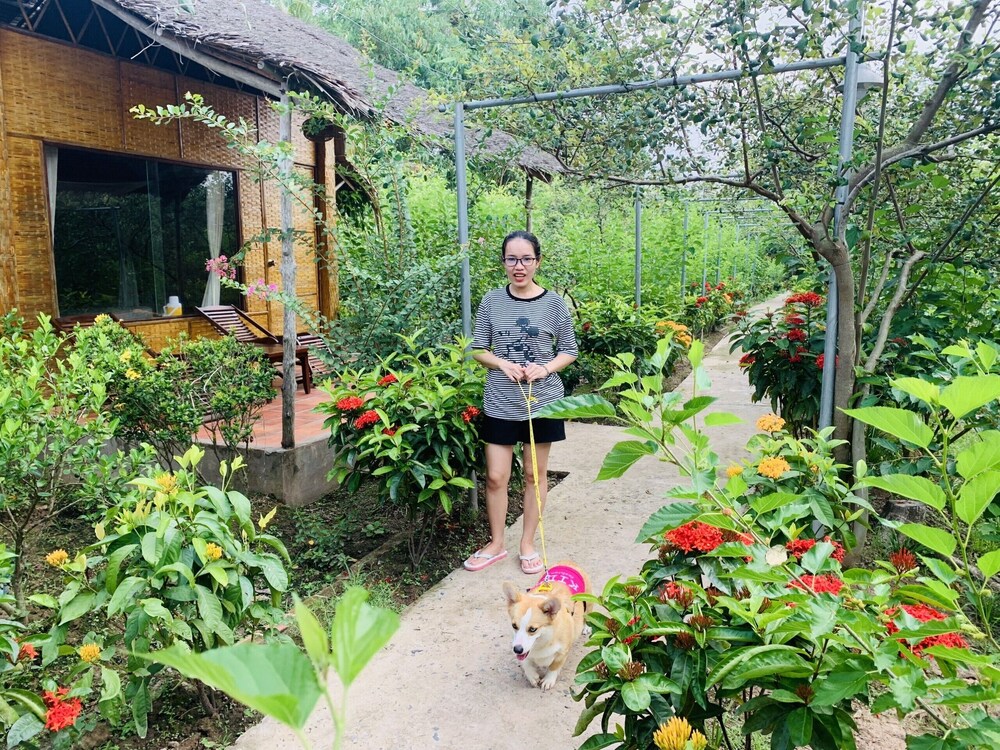 Mekong Ecolodge 43/45
