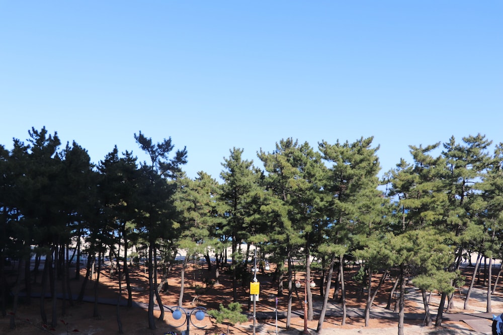 SkyBay Hotel Gyeongpo 51/59