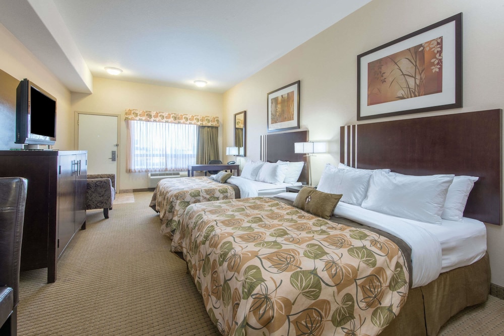 Efficiency, 2 Queen Beds