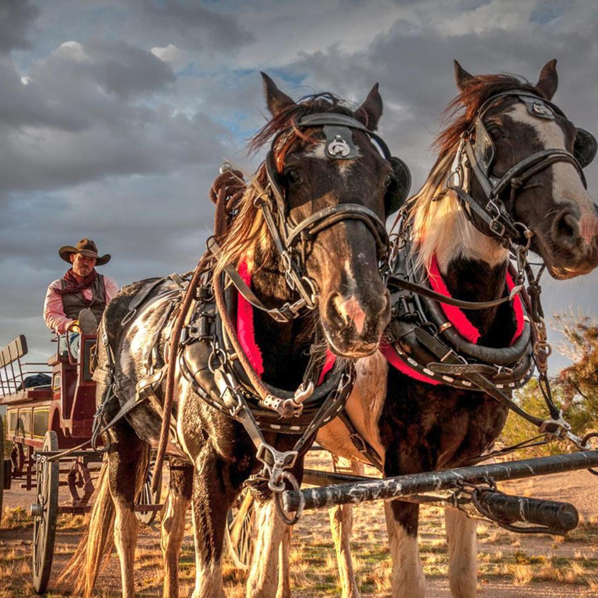 Stagecoach Trails Guest Ranch 42/50