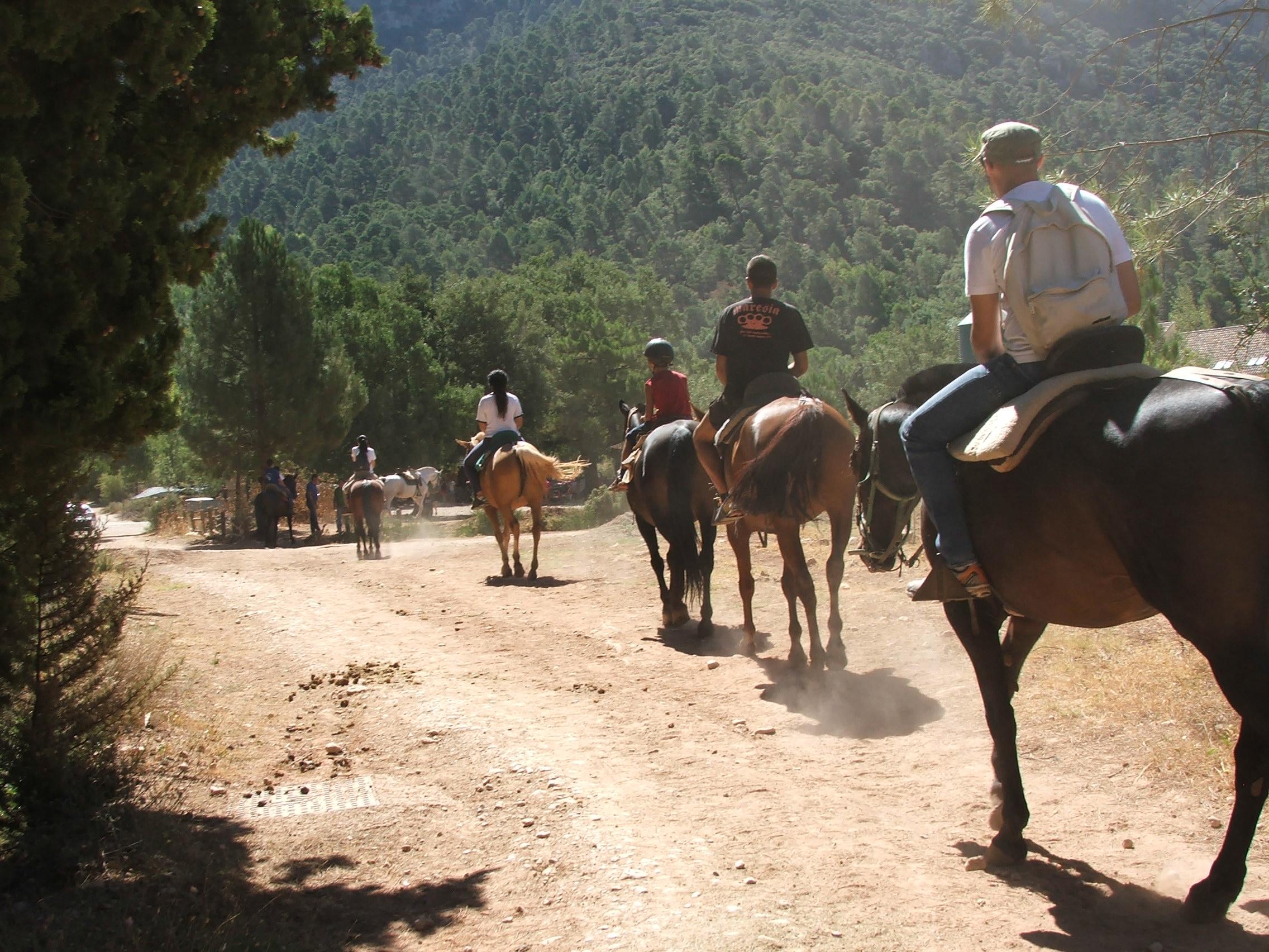 Campillo Apartamentos Rurales 20/31