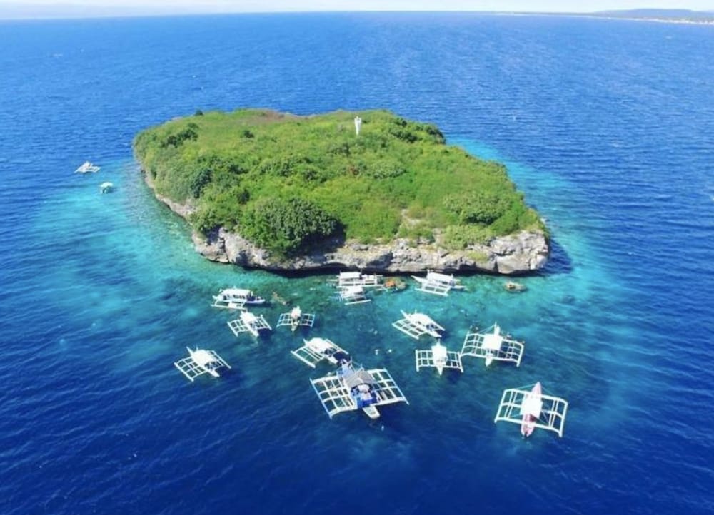 Parrot Resort Moalboal 45/50