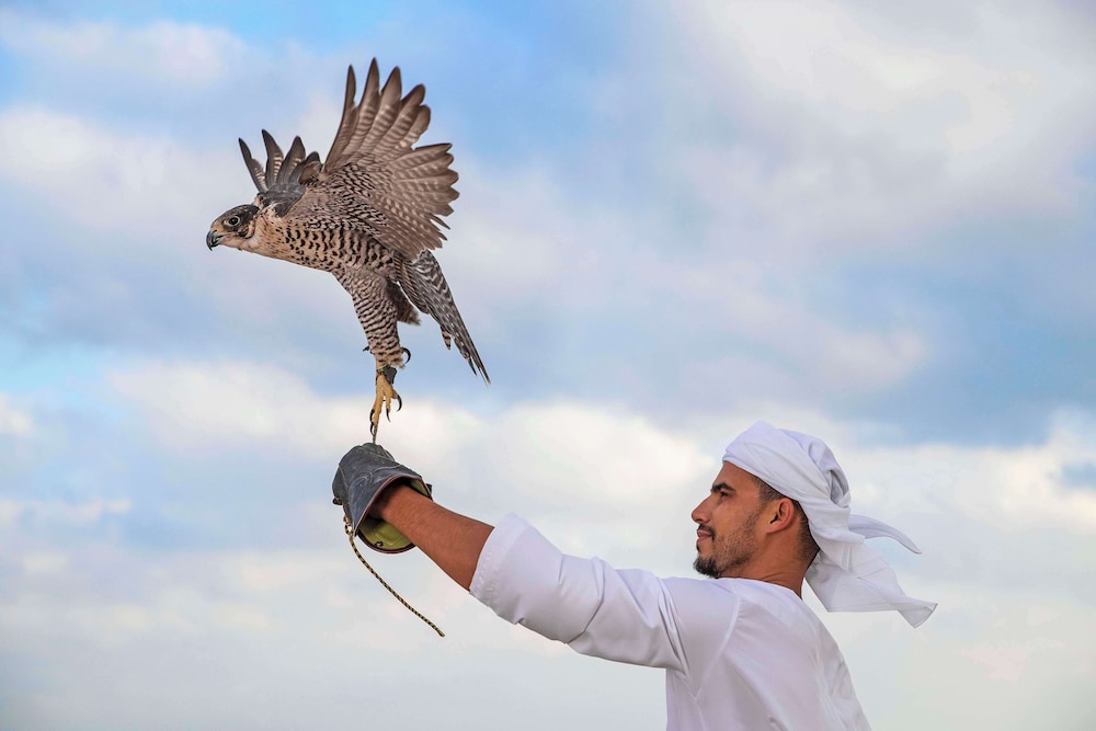 Anantara Sir Bani Yas Island Al Yamm Villa Resort 37/49