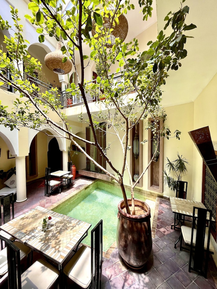 Riad Jardin Des Rêves 47/50