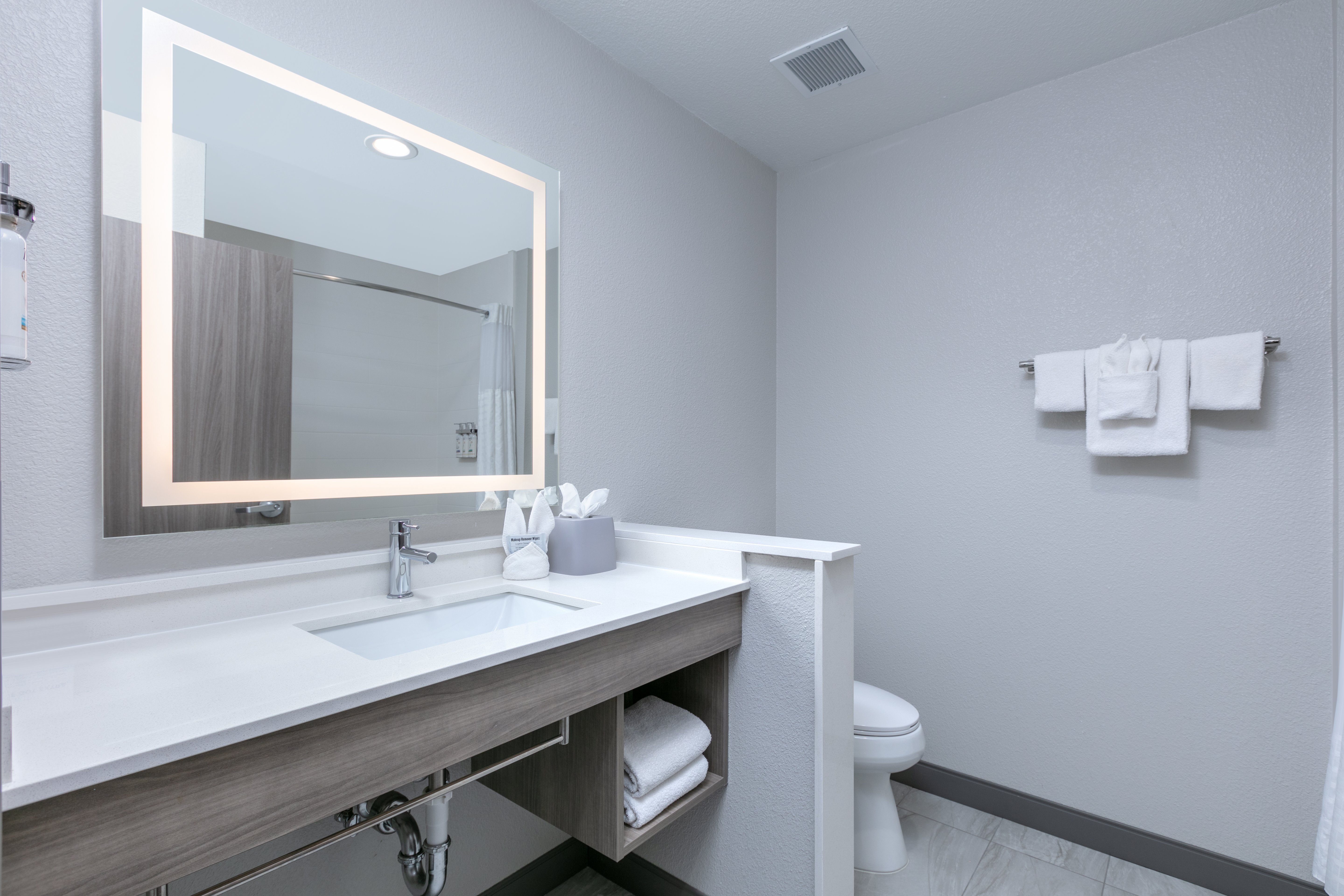 Standard, King Bed, Extra Floor Space، Holiday Inn Express & Suites - Dallas Plano North, an IHG Hotel 5/5