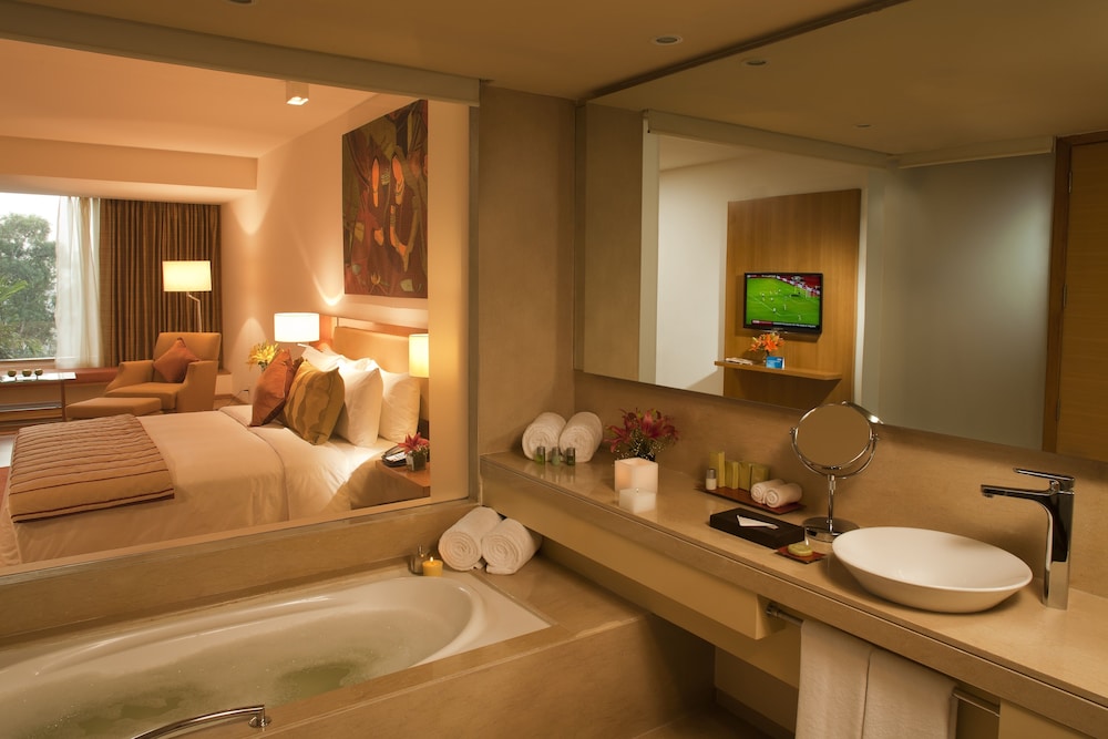 Radisson Blu Plaza Hotel Hyderabad Banjara Hills 44/73