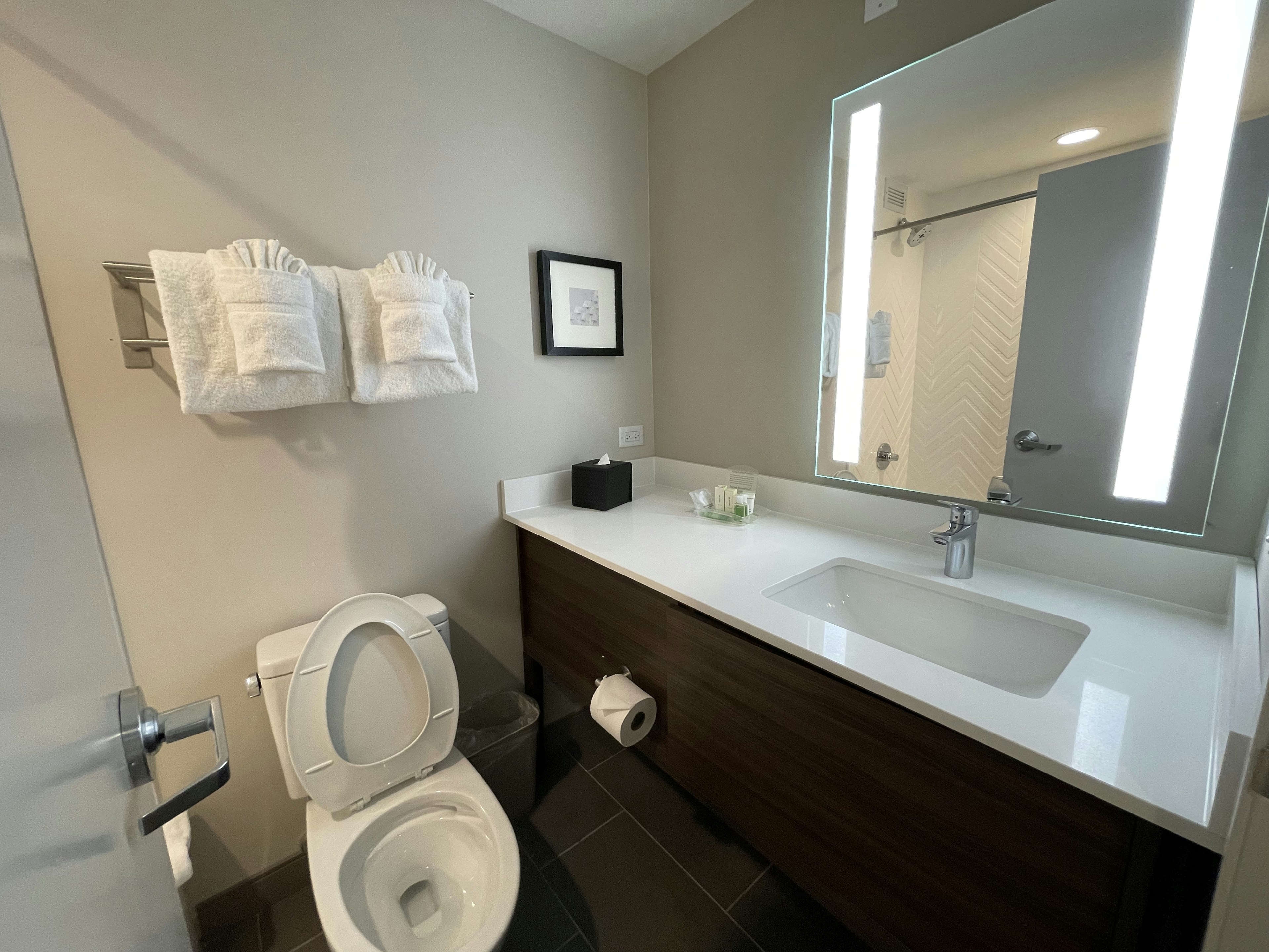 Holiday Inn & Suites Chicago-Downtown, an IHG Hotel 41/41